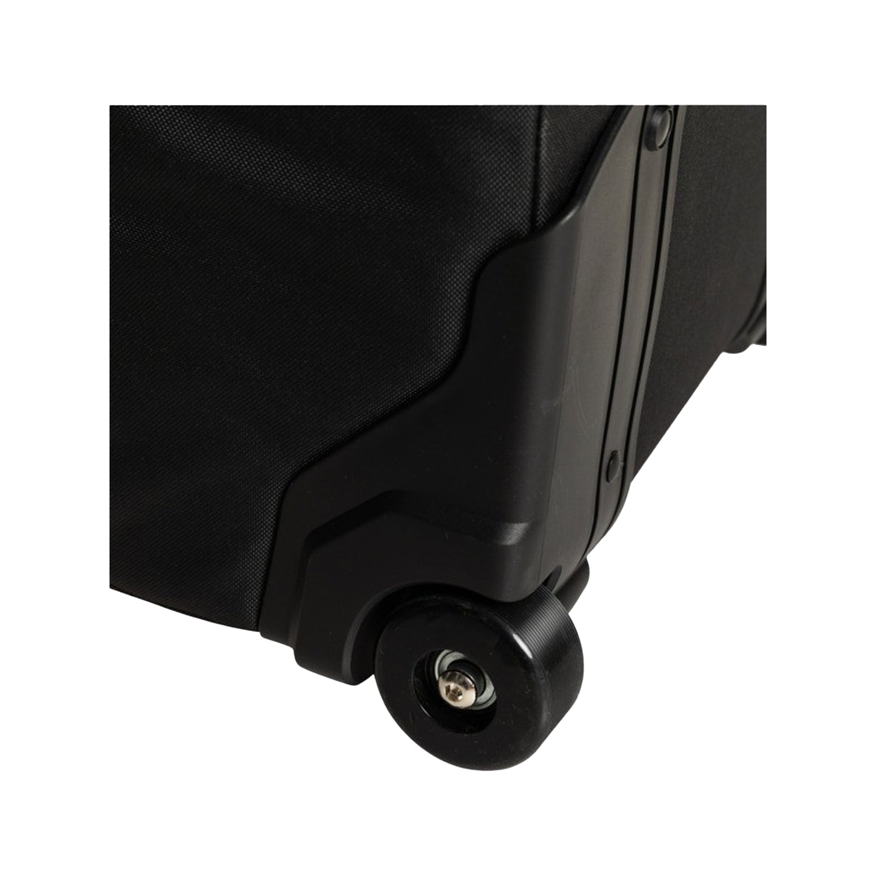 True Black Pansy Pansy