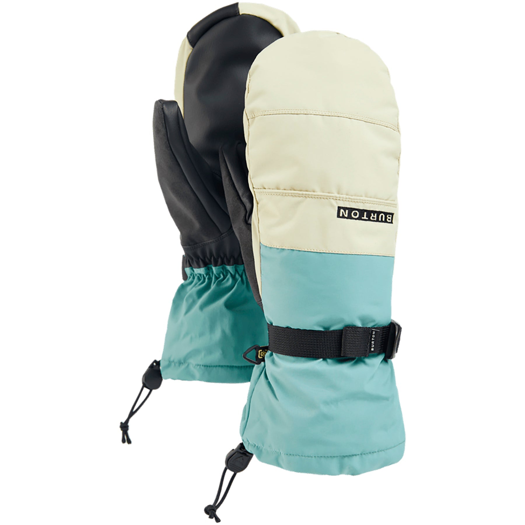 Rock Lichen/Mushroom