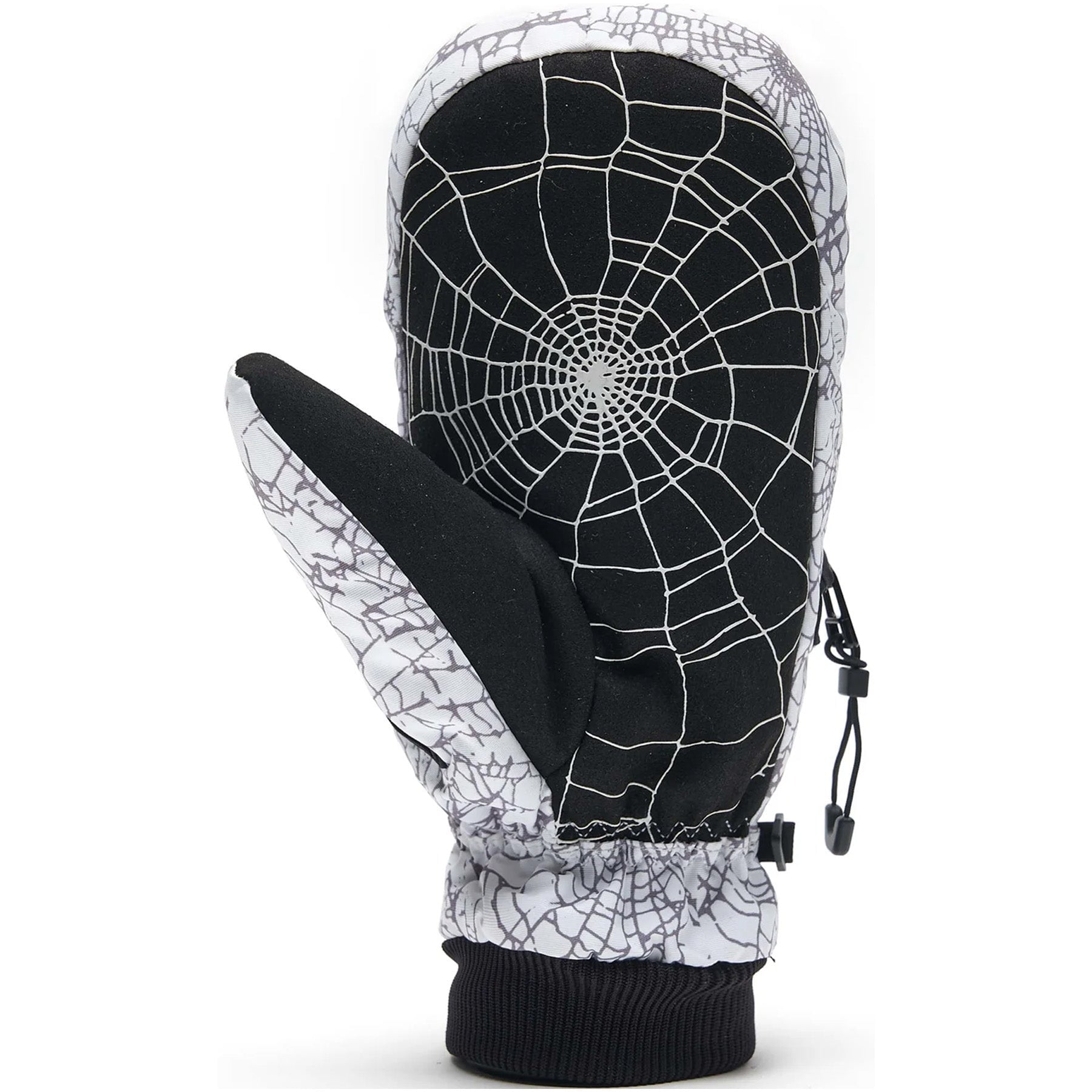Web