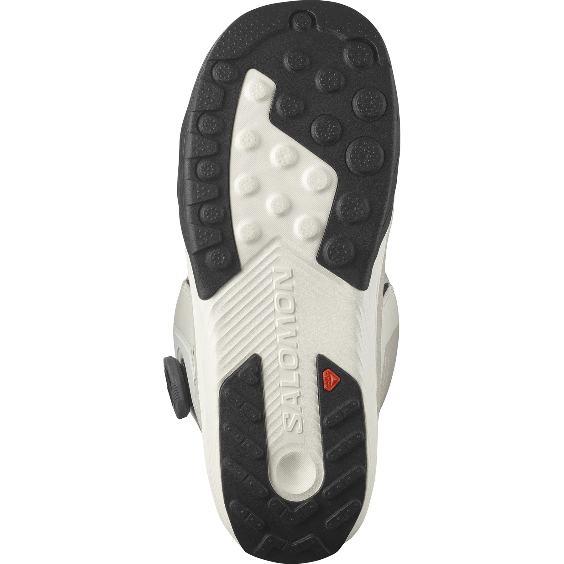 Vaporous Gray / Antarctica / Calypso Coral