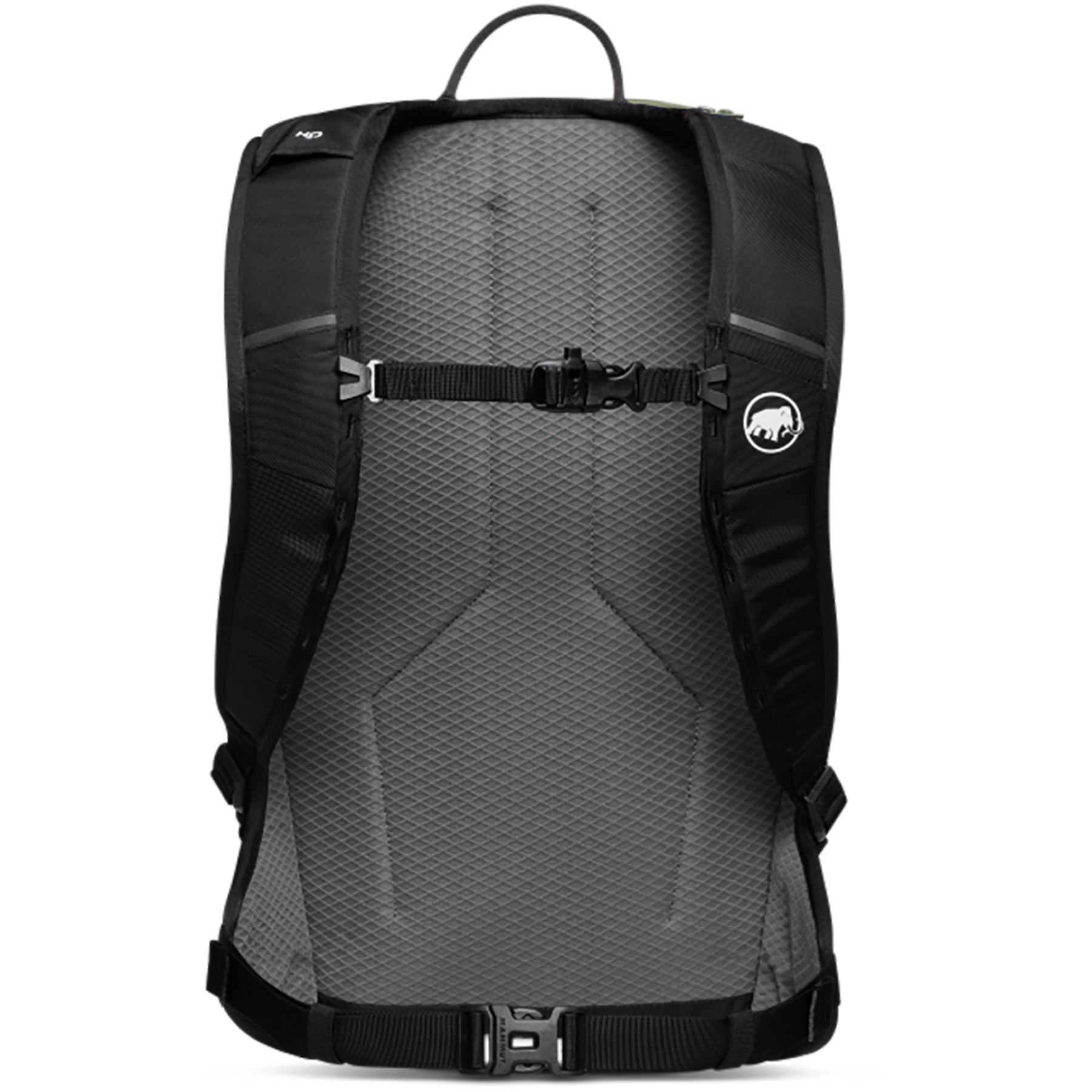 Marsh-Black