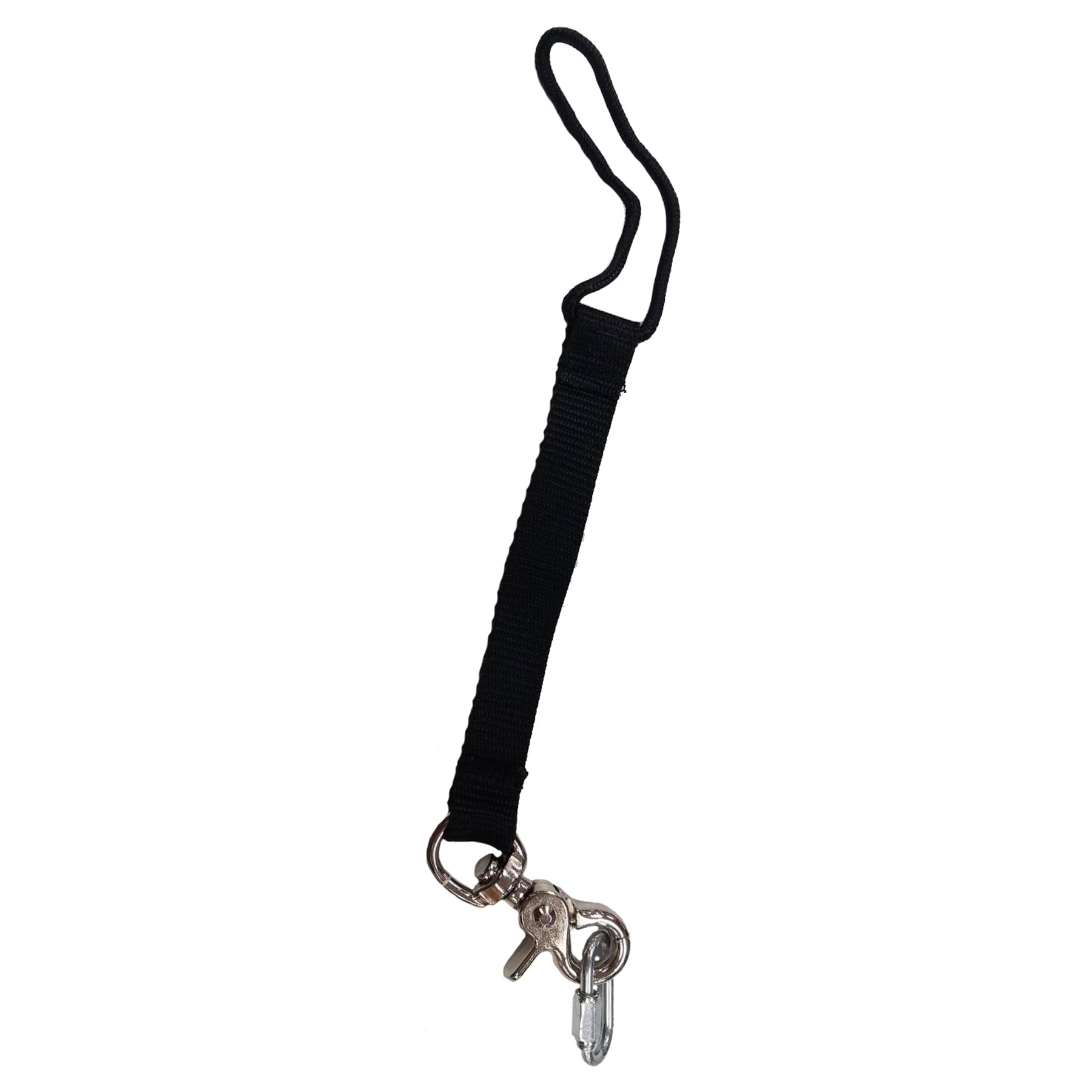 Ollie's Backside Cheat Leash