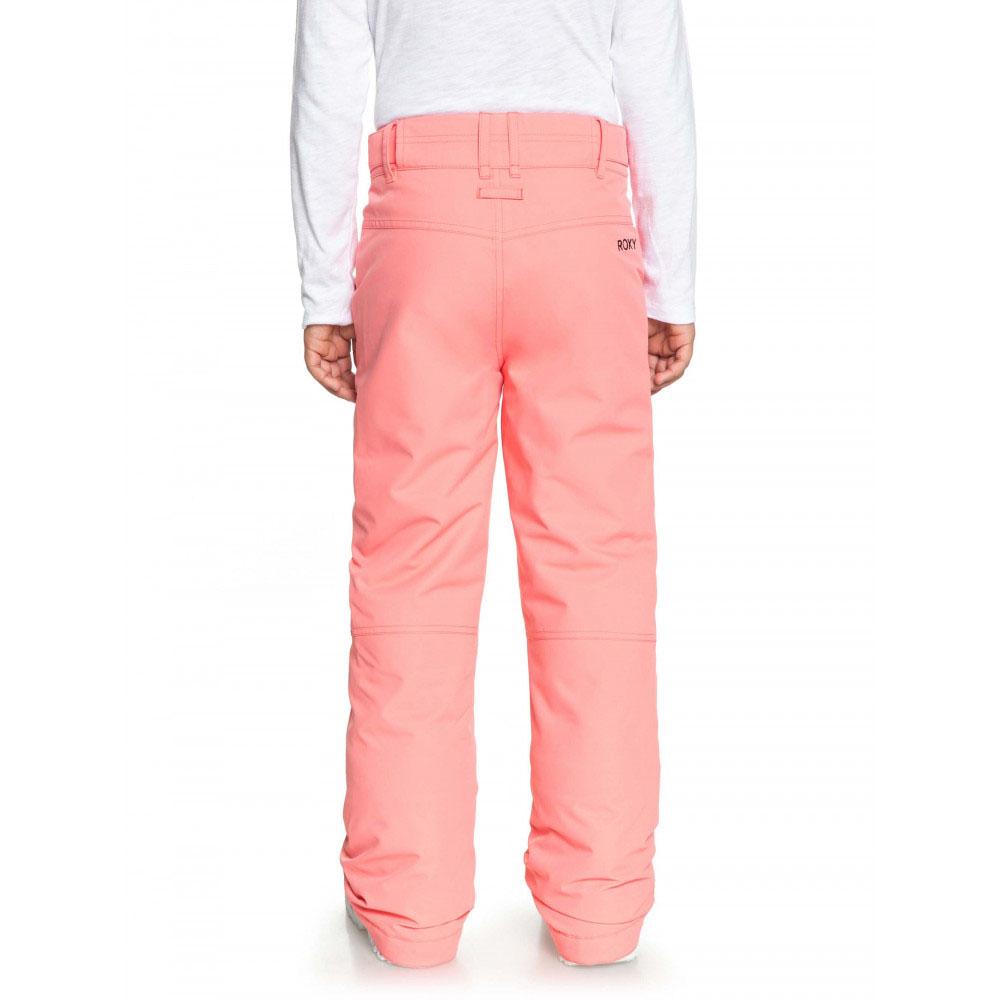 Roxy backyard snow pants deals